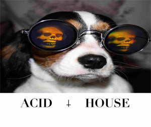 Acid House